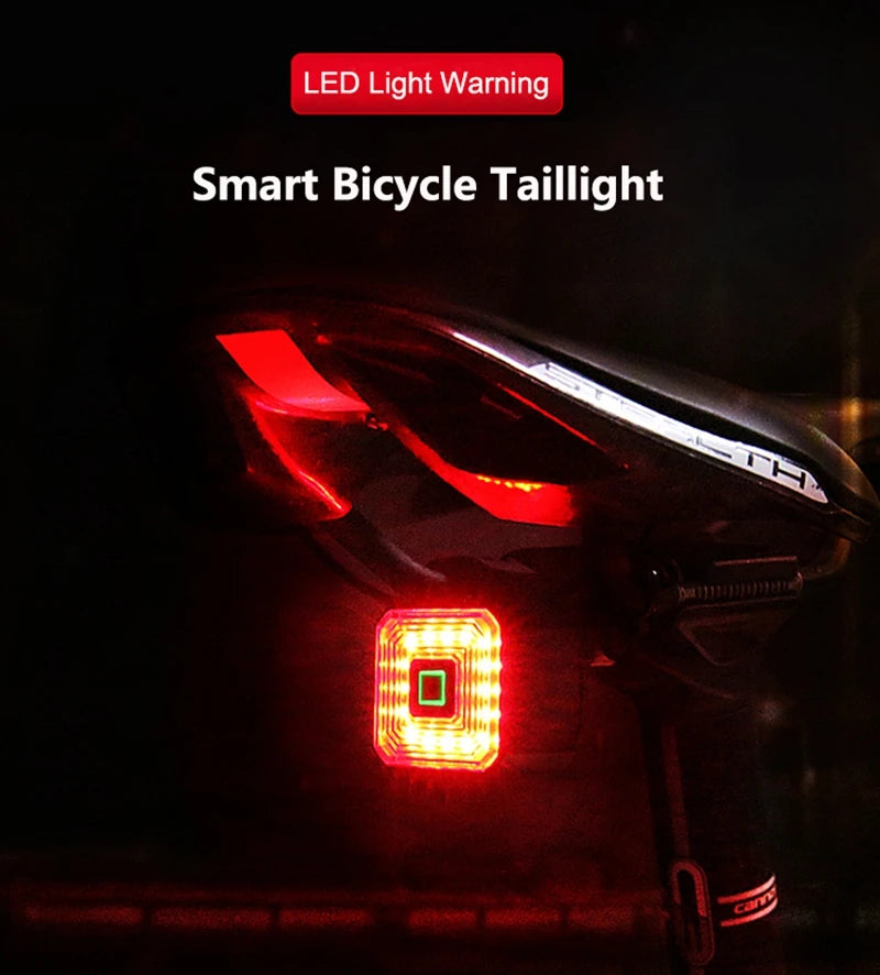 ENLEE Rear Bicycle Light, USB charging, built in power display indicator, IPX6-Waterproof