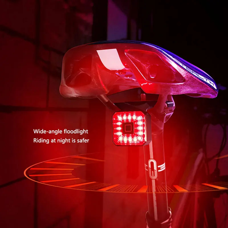 ENLEE Rear Bicycle Light, USB charging, built in power display indicator, IPX6-Waterproof