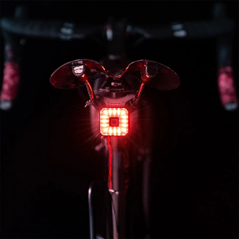 ENLEE Rear Bicycle Light, USB charging, built in power display indicator, IPX6-Waterproof