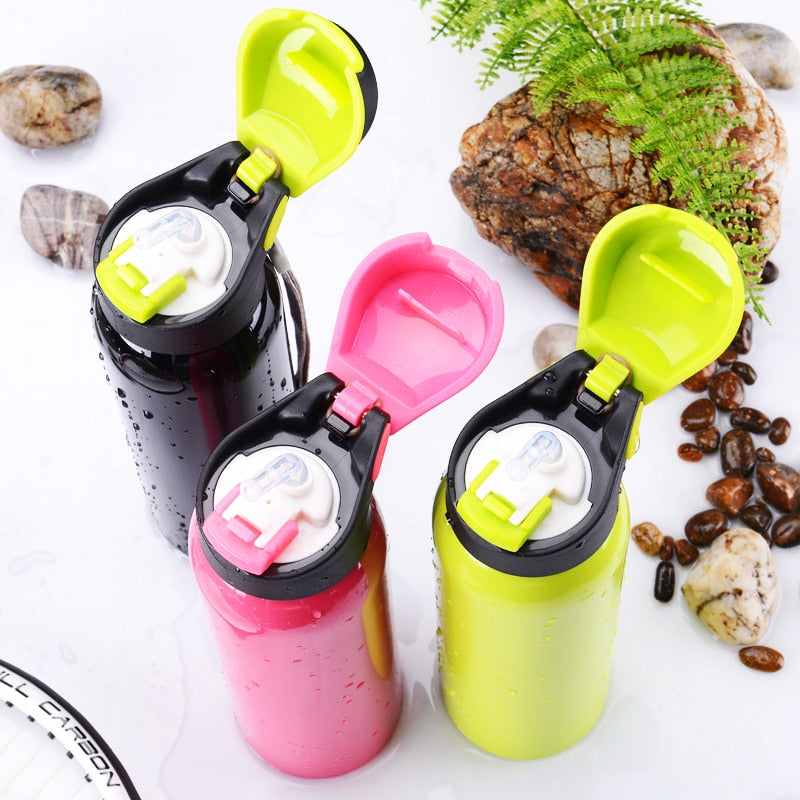 500ml Bicycle Insulated Double Walled Water Bottle Stainless Steel
